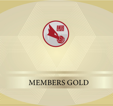 AP vip club gold