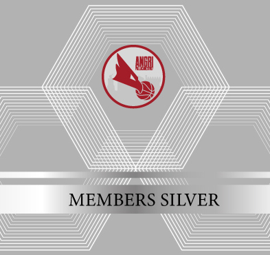 AP vip club Silver